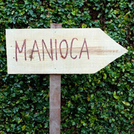 Manioca final